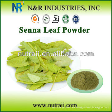 Pólvora natural y pura en polvo Senna en polvo y hoja de Senna Extracto de Senna Leaf